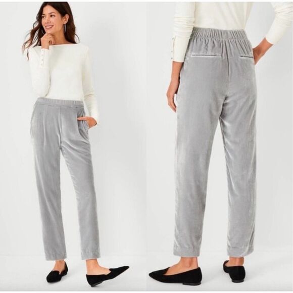 Ann Taylor Silver Gray Velvet Pull on Pants the easy ankle XS NWT - Picture 1 of 14